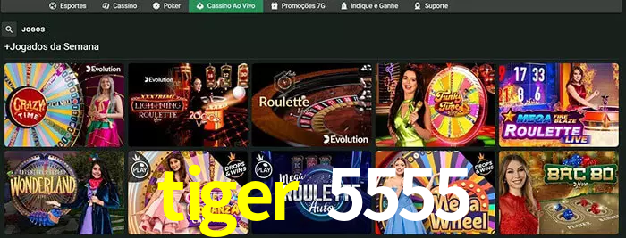 tiger 5555 bet