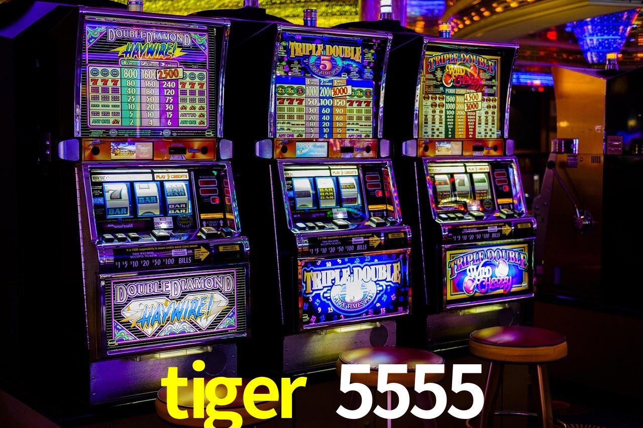 Casino Ao Vivo tiger 5555