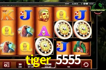 A Experiência Imersiva dos Cassinos Ao Vivo no tiger 5555